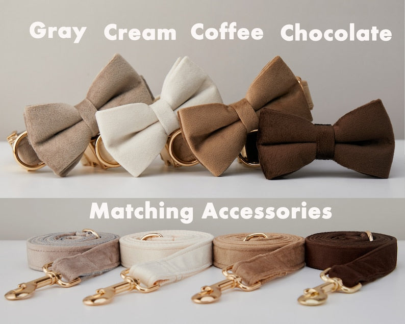 Multiple Colour Velvet Personalized Dog Collar Leash Set With Bow