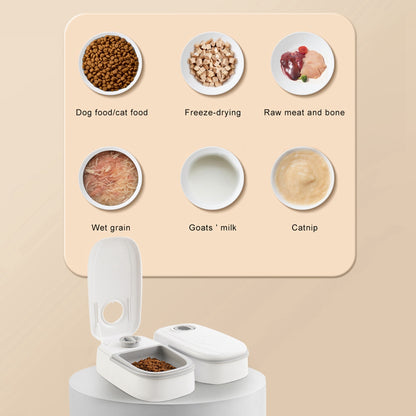 Gravity Pet Feeder