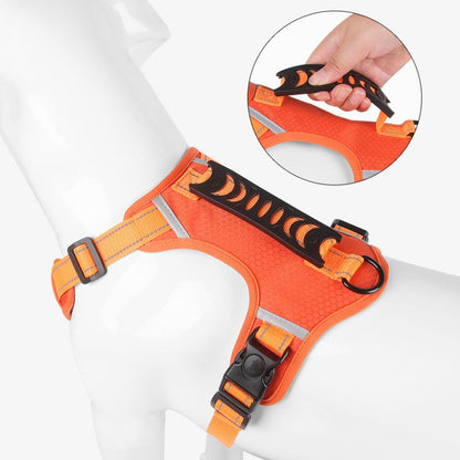 GlowStride Harness