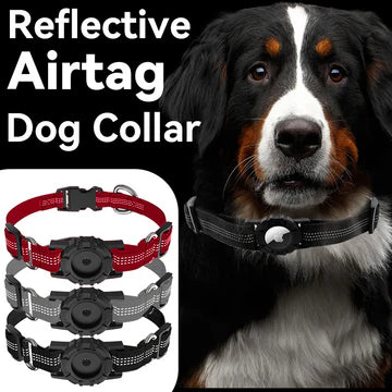 GPSGuard Collar
