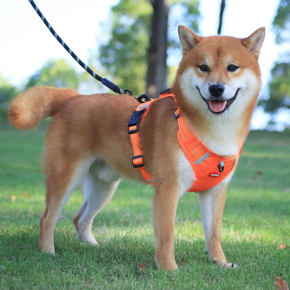 Reflective No-Pull Dog Harness