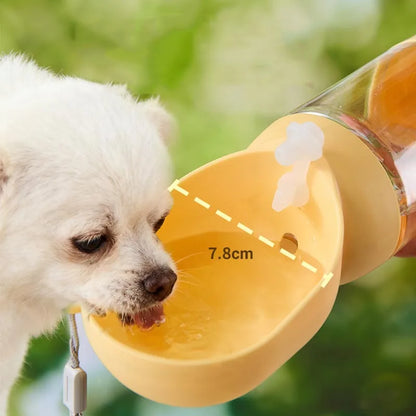 DualCarry Bottle