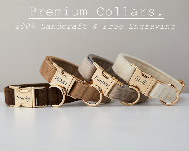 Multiple Colour Velvet Personalized Dog Collar Leash Set With Bow