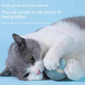 Automatic Moving Bouncing Rolling Cat Ball