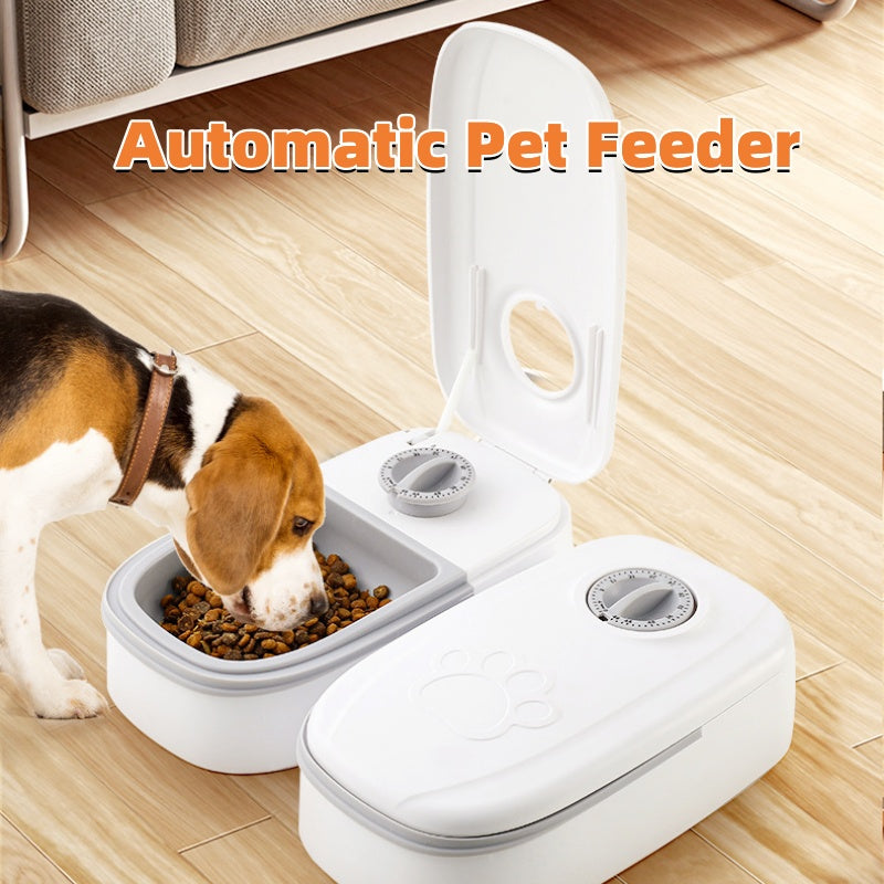 Gravity Pet Feeder & Water Dispenser