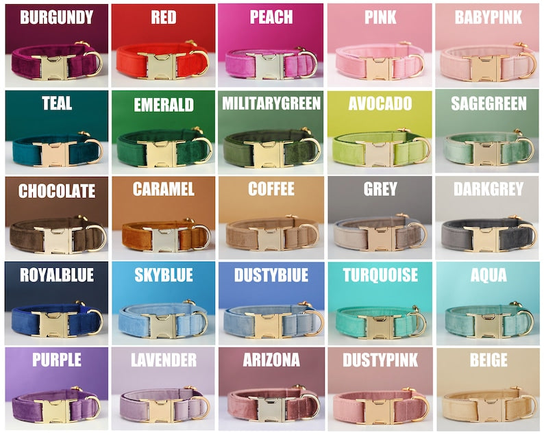 Multiple Colour Velvet Personalized Dog Collar Leash Set With Bow